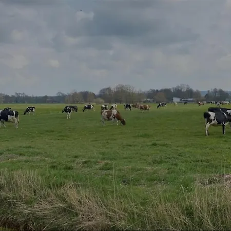 Ferienhof-meyer Vakantiehuis *