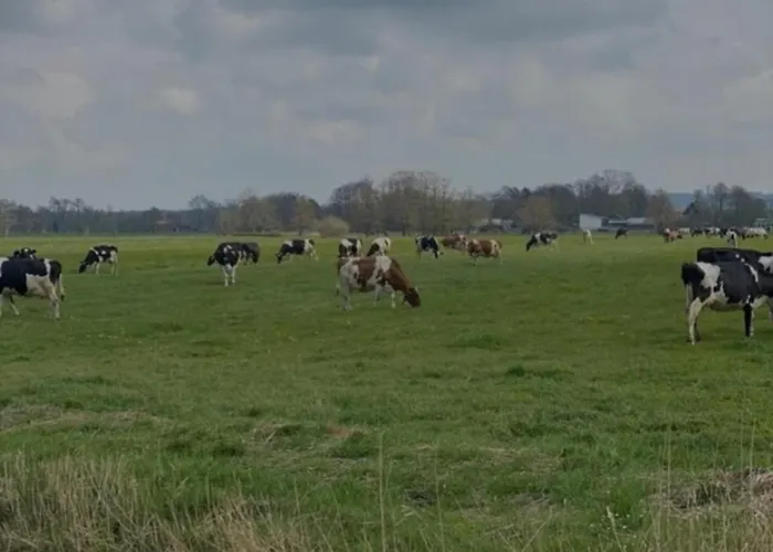 Ferienhof-meyer Vakantiehuis *